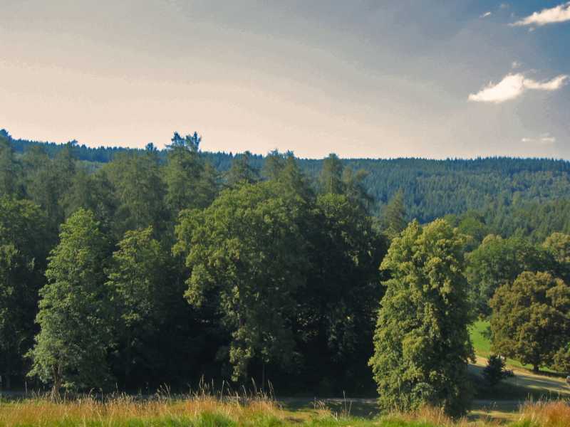 schne Landschaft ums Schloss Waldleiningen