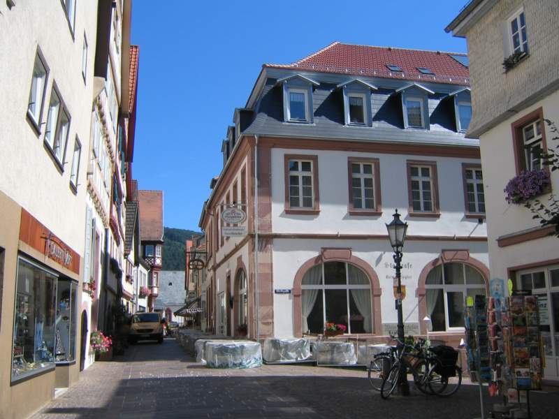 Hirschhorn Altstadt