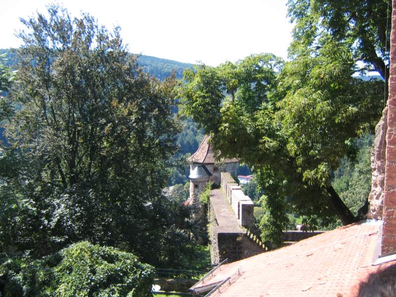 Burg Hirschhorn