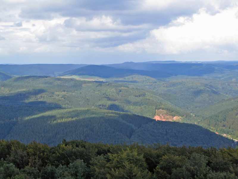 Blick vom Turm 