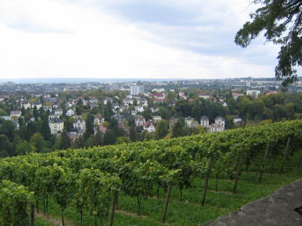auf dem Neroberg, Blick auf Wiesbaden