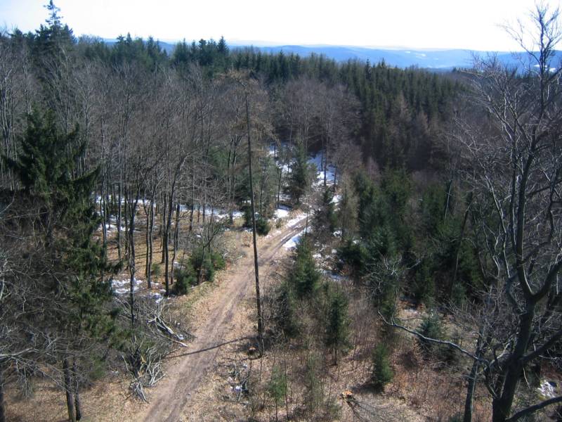 Ausblick vom Ireneturm auf der Tromm