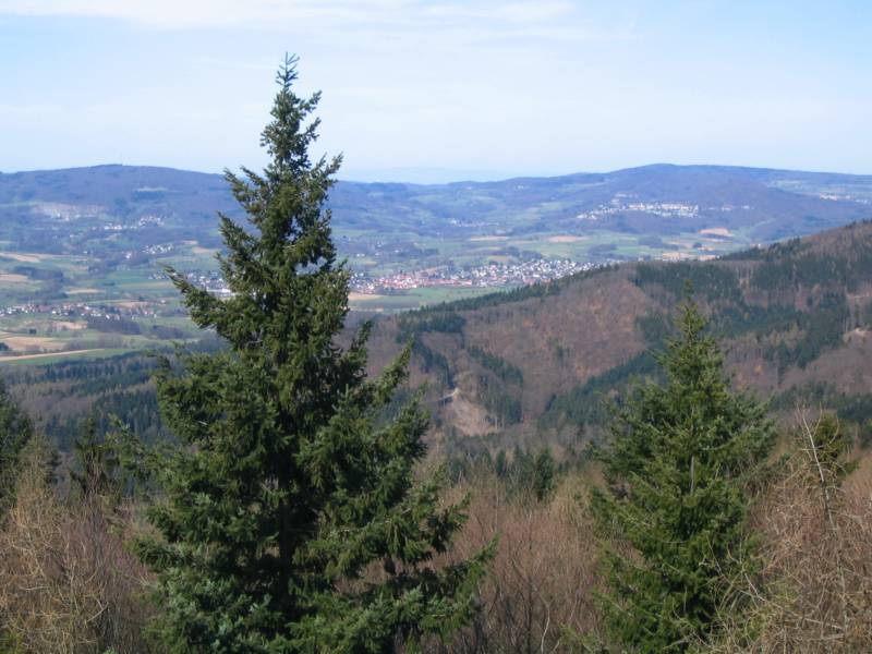 Ausblick vom Ireneturm auf der Tromm