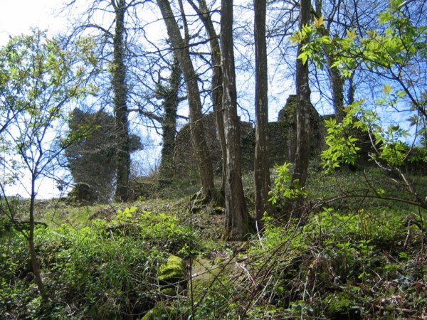 Burg Eberbach