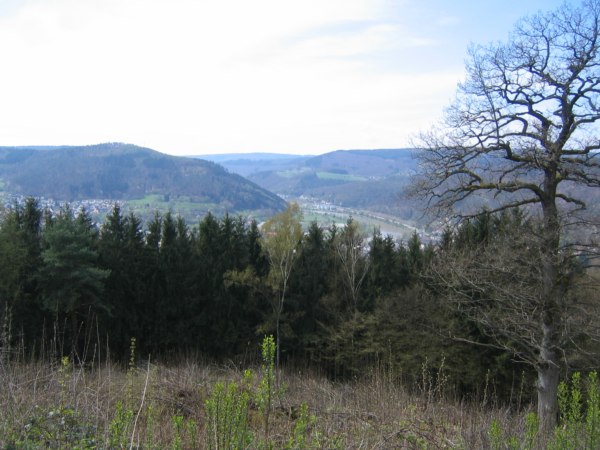 Blick von der Burg Eberbach