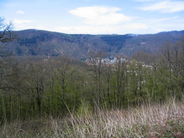 Blick zum Ohrsbergturm bei Eberbach ?