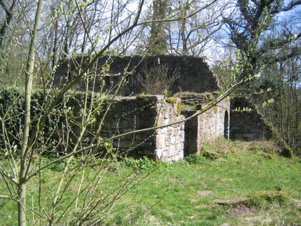 Burg Eberbach