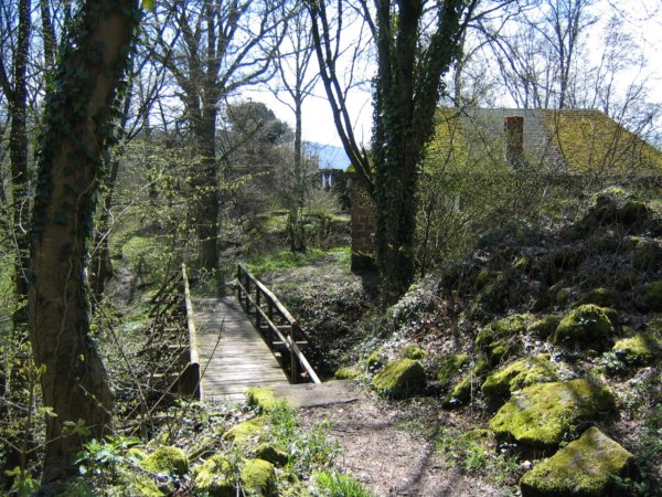 Burg Eberbach