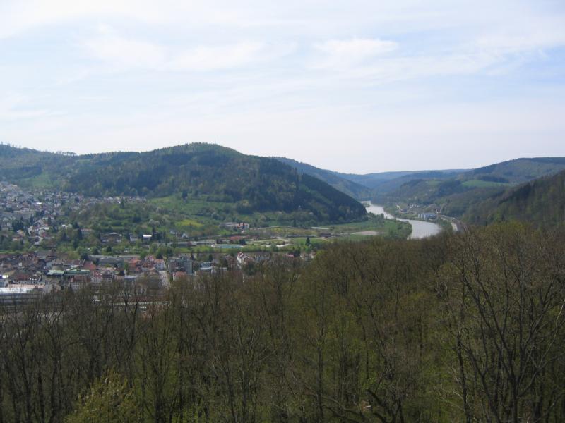 Blick vom Ohrsbergturm zum Neckar