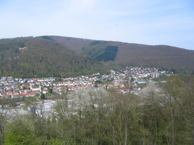 Blick vom Ohrsbergturm