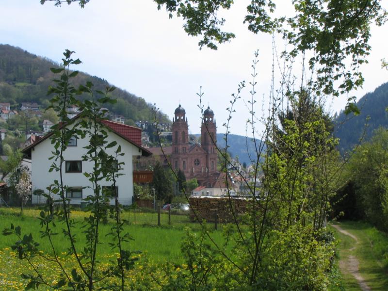 Rckweg vom Ohrsbergturm nach Eberstadt