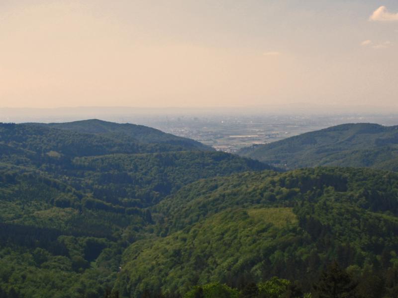 Blick vom Teltschickturm auf Mannheim im Dunst